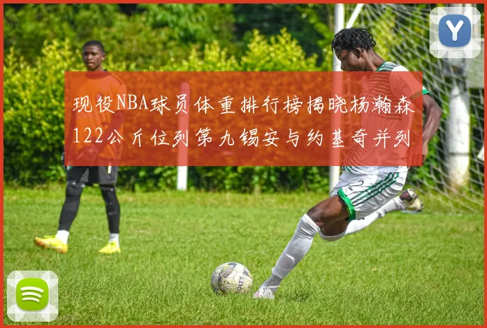 现役NBA球员体重排行榜揭晓杨瀚森122公斤位列第九锡安与约基奇并列第三