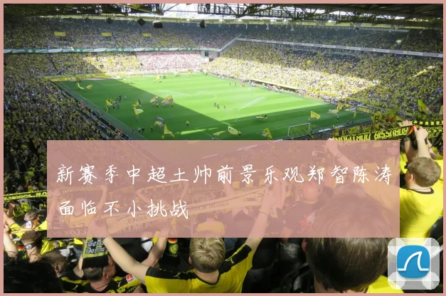 新赛季中超土帅前景乐观郑智陈涛面临不小挑战